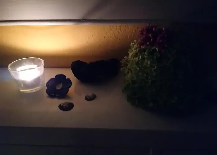 Bauwagen Frederik Kemp Radebeul